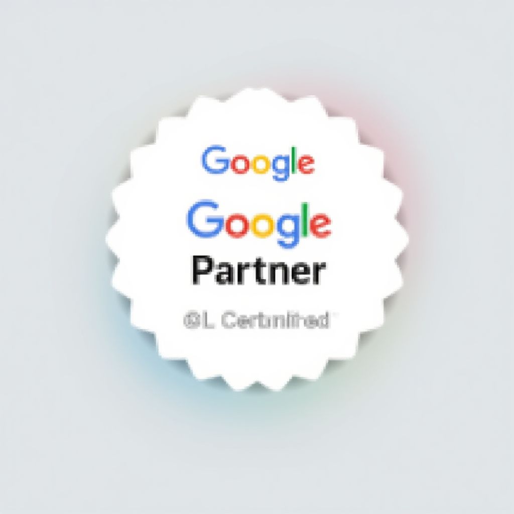Certificare Google